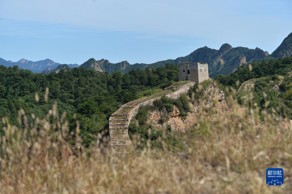 真人百家乐